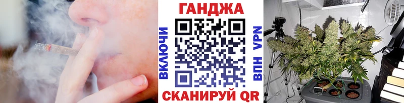 Каннабис планчик  mega ССЫЛКА  Жиздра 