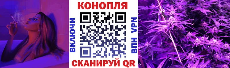 МАРИХУАНА ГИДРОПОН Жиздра